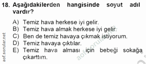 Soru 18