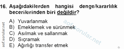 Soru 16
