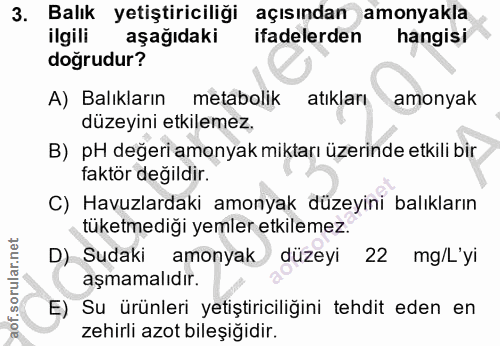 Soru 3