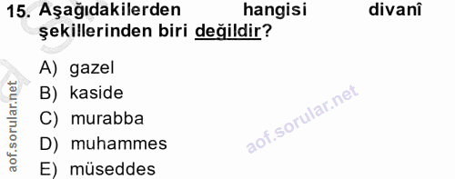 Soru 15