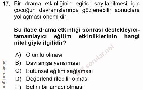 Soru 17