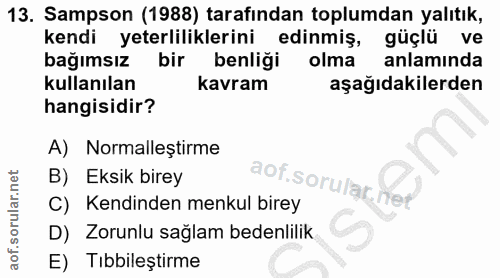 Soru 13