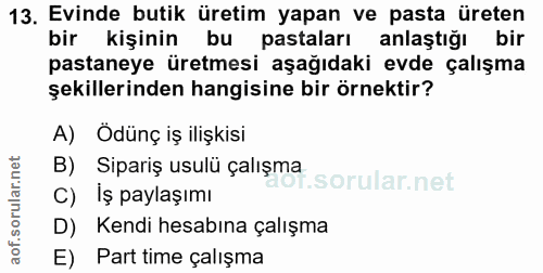 Soru 13