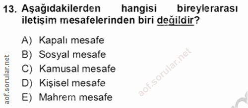 Soru 13