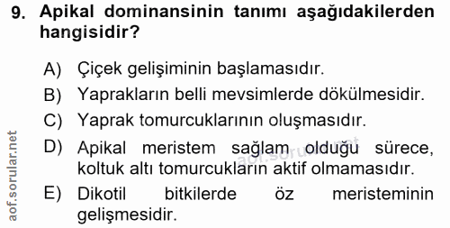 Soru 9