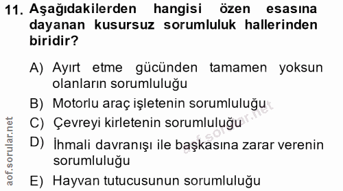Soru 11