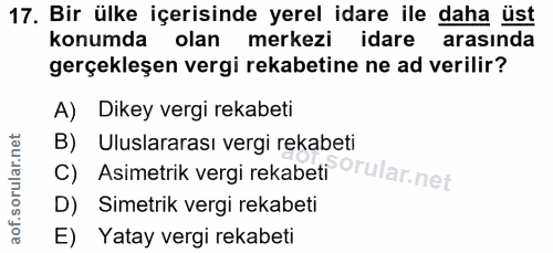 Soru 17