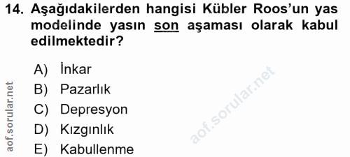 Soru 14