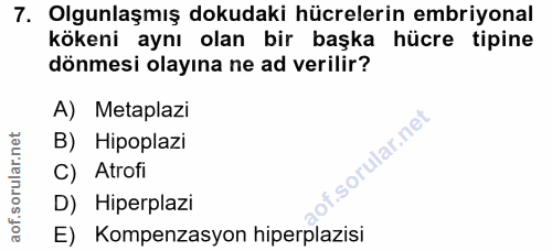Soru 7
