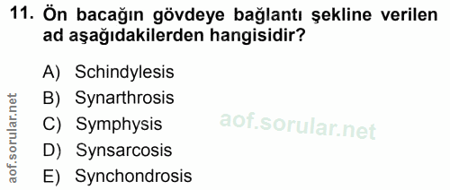 Soru 11