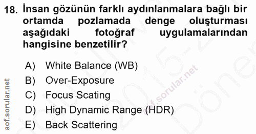 Soru 18
