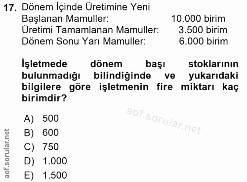 Soru 17