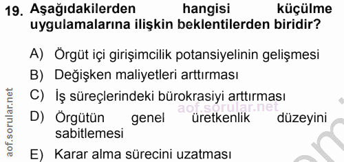Soru 19