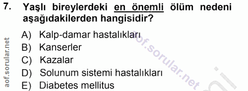 Soru 7