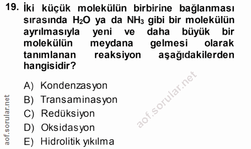 Soru 19