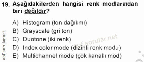 Soru 19