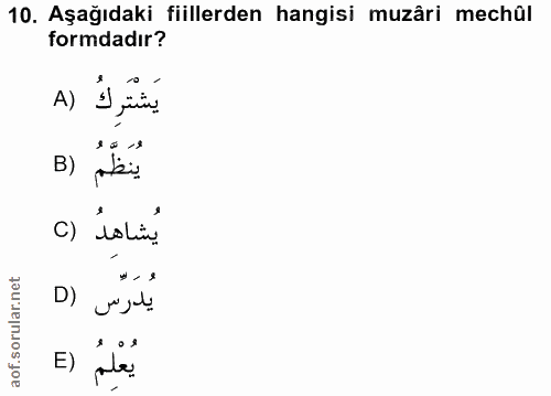 Soru 10