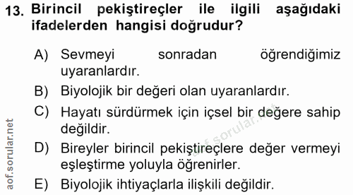 Soru 13