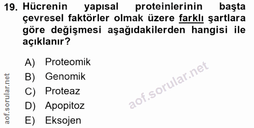 Soru 19