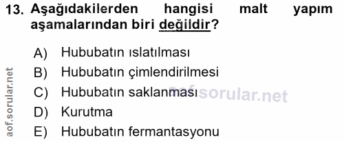 Soru 13