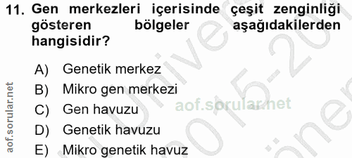 Soru 11