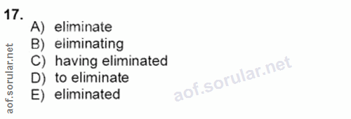 Soru 17