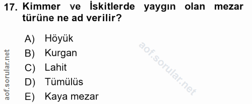 Soru 17