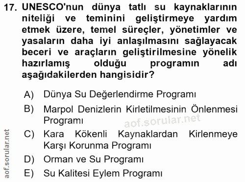 Soru 17
