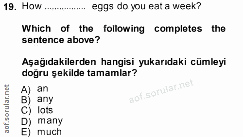 Soru 19