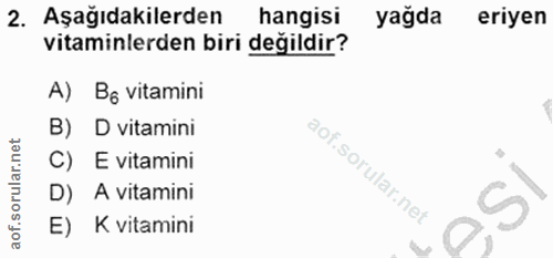 Soru 2