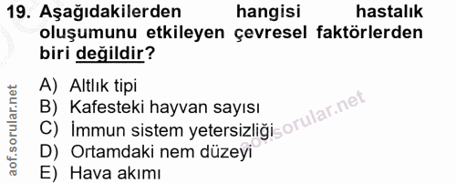 Soru 19