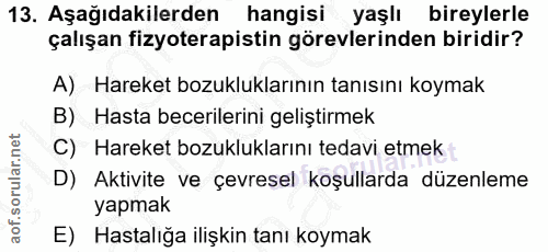 Soru 13