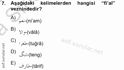 Soru 7