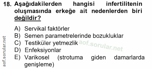 Soru 18