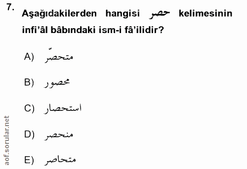 Soru 7