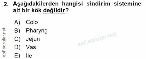 Soru 2