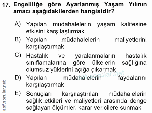 Soru 17