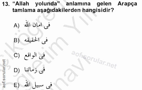 Soru 13
