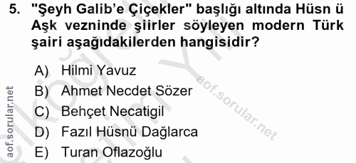 Soru 5