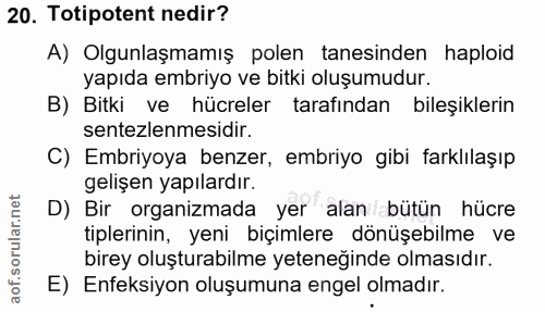 Soru 20