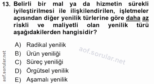 Soru 13