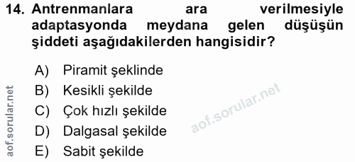 Soru 14