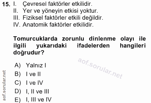 Soru 15