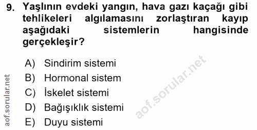 Soru 9