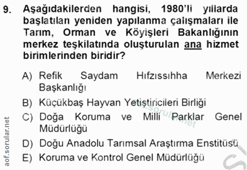 Soru 9