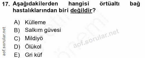 Soru 17