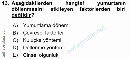 Soru 13