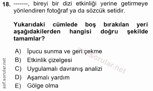 Soru 18