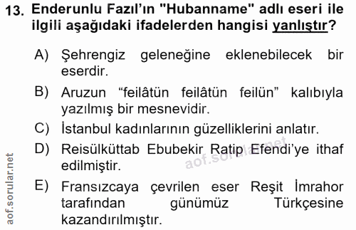 Soru 13