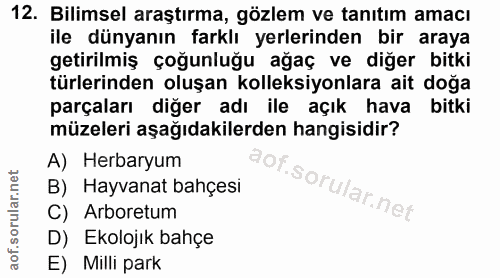 Soru 12